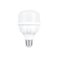 Lámpara LED alta potencia 50W/865 5000Lm 220-240V Eco