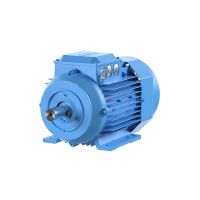 motor-trifasico-220-380-440v-1800rpm-15hp-ip55-ie2-m3bp-1041559-01.jpg