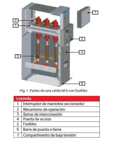 Partes de una celda